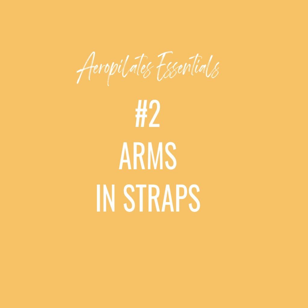 Aeropilates Essentials #2 - Arms in straps